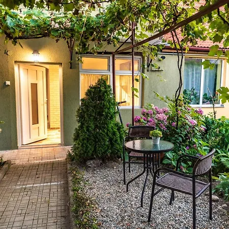 Garden * Sibiu